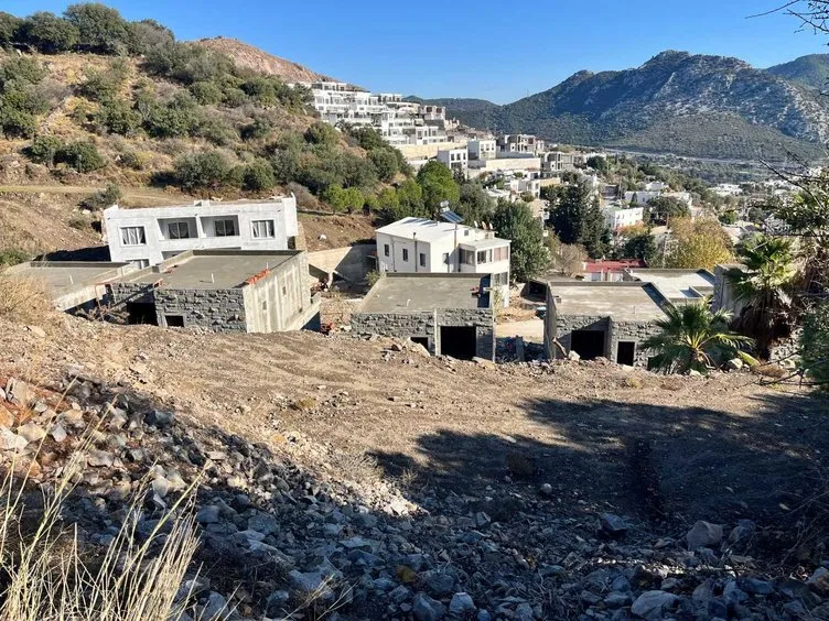 Bodrum Belediyesi, Suavi’nin ağaç katliamına sessiz