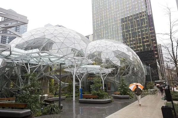 Amazon'dan yağmur ormanlarından ilham alan ofis