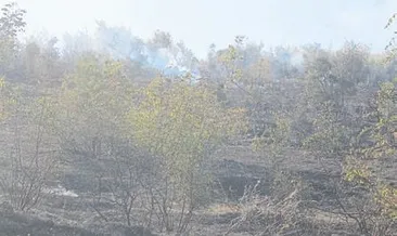 Otları yakarken makilik alan yandı