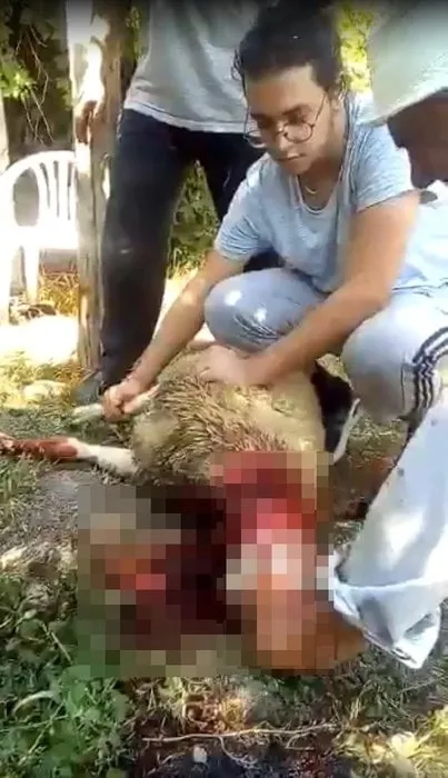 Ankara''da Onur Alp Eker talihsiz bir şekilde öldü! Arkadaşının iddiaları dehşete düşürdü: Bu pozisyonda kendisi düşemez