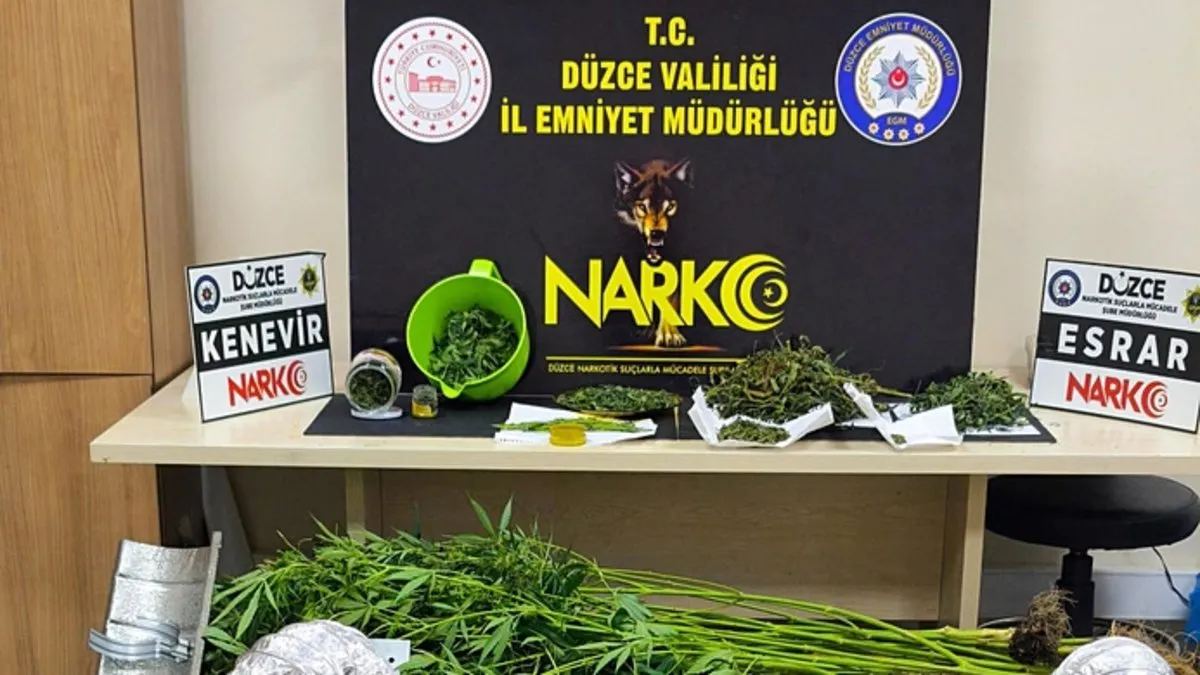 Düzce’de uyuşturucu operasyonu: Evi seraya çevirmiş! Düzce’de uyuşturucu operasyonu: Evi seraya çevirmiş!