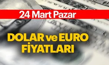 Dolar fiyatları ile ilgili son dakika haberi: Dolar ve euro bugün ne kadar, kaç TL? Güncel döviz kurları 24 Mart Pazar