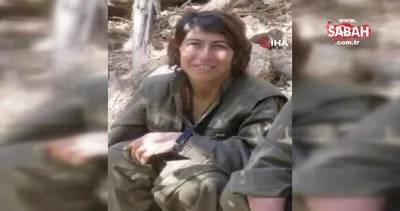 MİT’ten Kamışlı’da nokta operasyon: YPG’nin sözde sorumlusu Emine Seyid Ahmed etkisiz! | Video