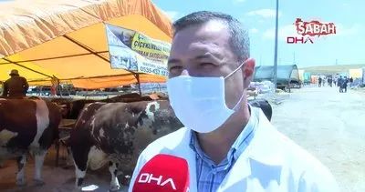 Ankara’da Bilim Kurulu Üyesi’nden kurban pazarlarında flaş ’koronavirüs’ uyarısı | Video