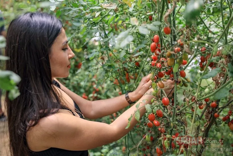 Antalya’da genç hostes sera kurdu! Kilosunu 18 TL’den satıyor! Paraya para demiyor