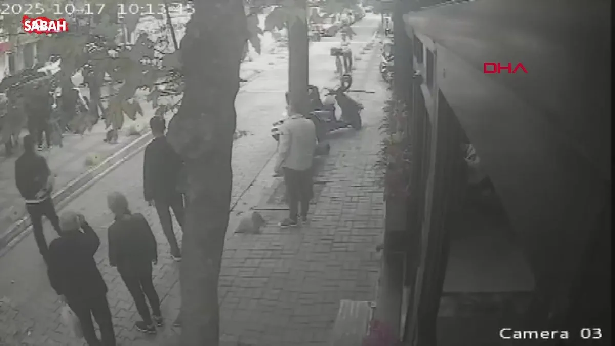 Bakırköy’de bir şahıs sokakta kedi besleyen iş insanını darbetti! O anlar kamerada | Video videosunu izle Bakırköy’de bir şahıs sokakta kedi besleyen iş insanını darbetti! O anlar kamerada | Video videosunu izle