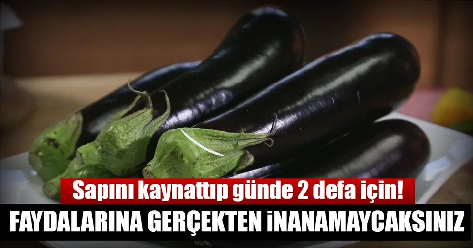 Patlican Sapi Suyunun Inanilmaz Faydasi Sayfa 4 Saglik Haberleri