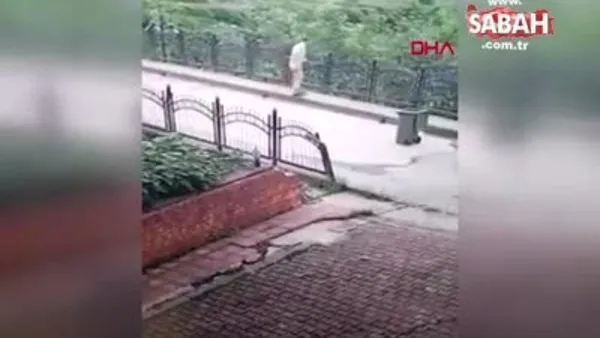Belediye işçisinin yavru köpeği faraşa koyup dereye attığı anlar kamerada