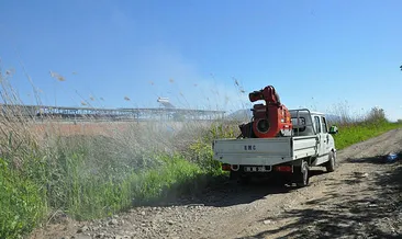 Nazilli’de ilaçlama çalışmaları sürüyor