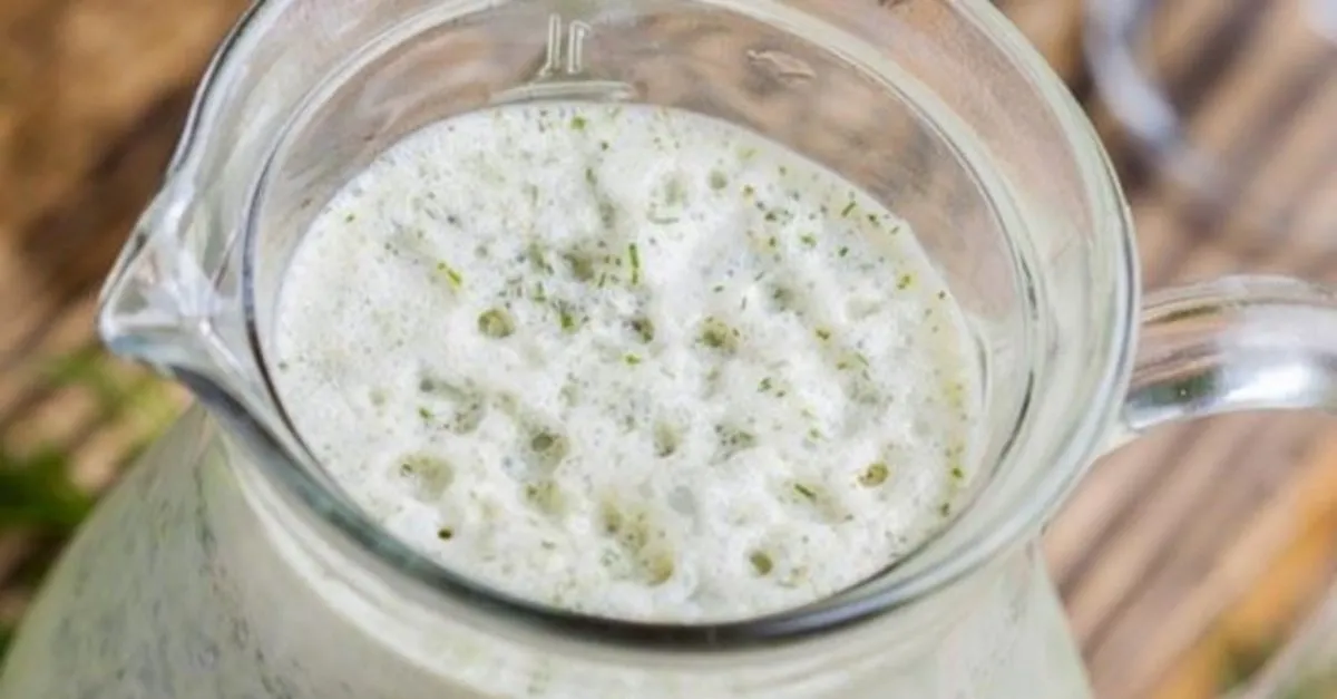 Kabizliga Iyi Gelen Yogurt Kuru Tarifi Saglik Haberleri