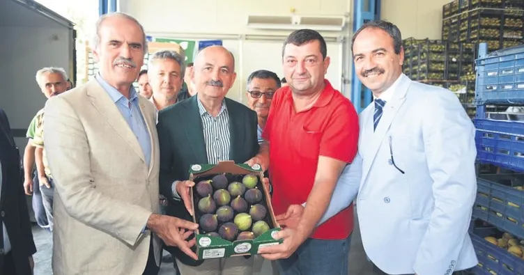 Üreticinin yüzü Büyükşehir ile gülüyor