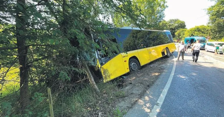 İETT otobüsü ağaca çarparak durabildi