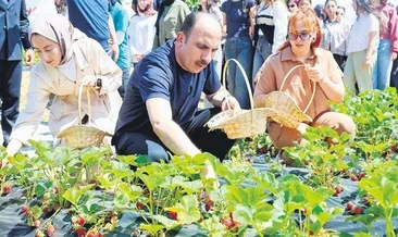 Konya Büyükşehir’den tarıma dev destek