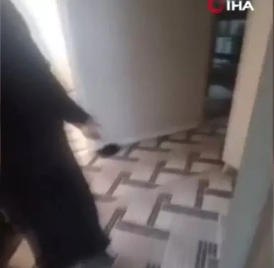 SON DAKİKA… Yasak aşk ölüm getirdi! Birlikte yaşadığı kadını başka erkekle yakaladı: Nerede o adam!