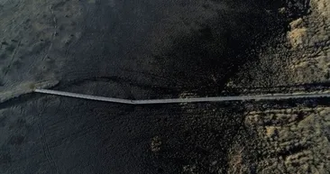 Bozkırın kuş cenneti ’Sultan Sazlığı’