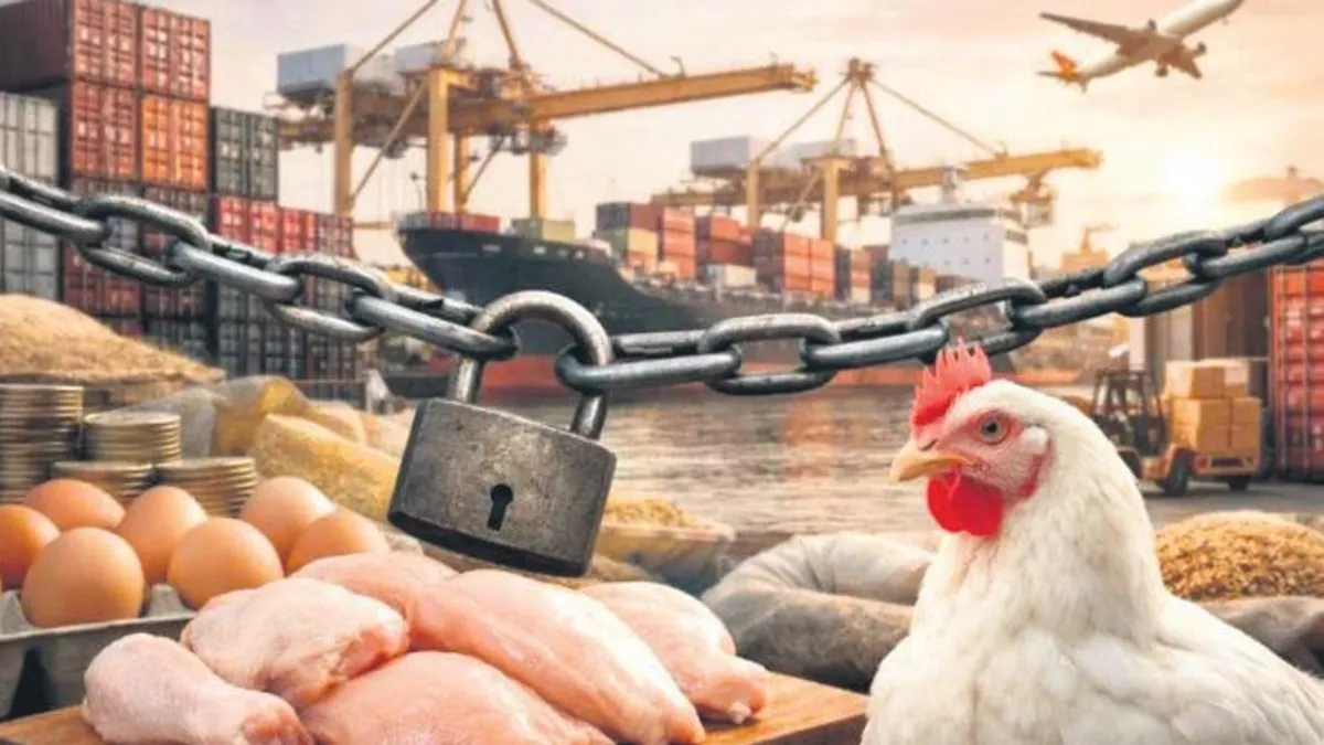 Tavuk eti ihracatı durduruldu