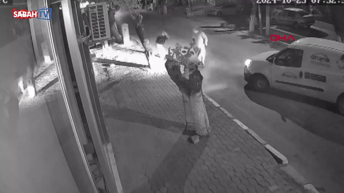 Betül’ü boynundan bıçakla yaralayan sanığa tahliye kararı: Saldırı anı kamerada videosunu izle Betül’ü boynundan bıçakla yaralayan sanığa tahliye kararı: Saldırı anı kamerada videosunu izle