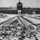 Naziler katliama başladı