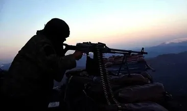 Şırnak’ta PKK/KCK operasyonu: 1 tutuklu