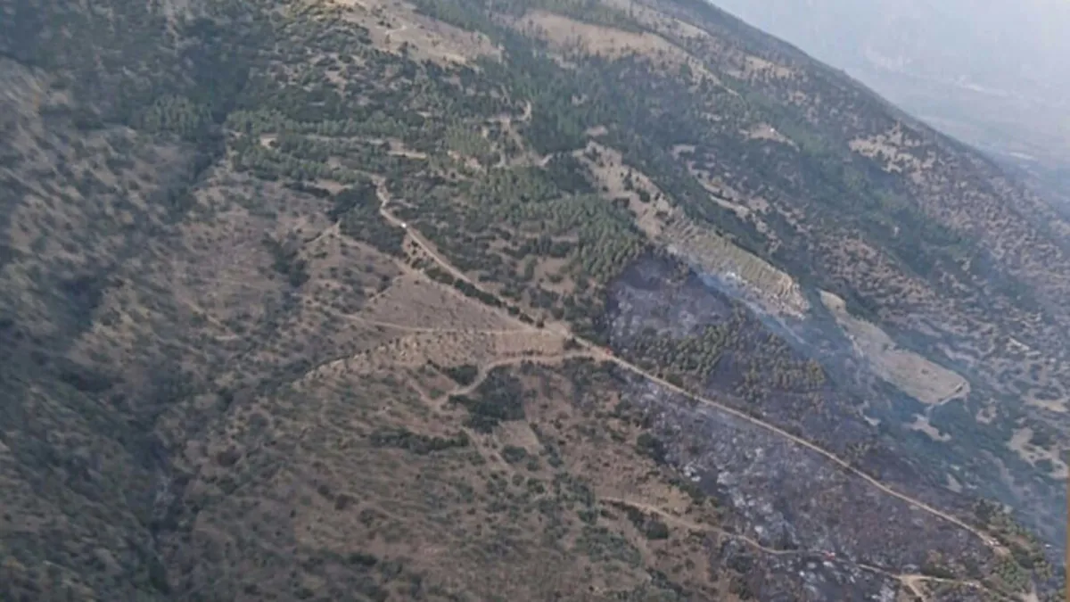 Aydın’daki orman yangını kontrol altına alındı Aydın’daki orman yangını kontrol altına alındı