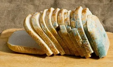 Küflü Ekmek Yenir Mi? Küflü Ekmek Temizlenip Yenir Mi, Zararlı Mı?