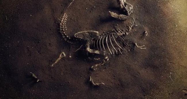 Kaç Çeşit Dinozor Türü Var? Karada ve Suda Yaşayan Dinozor Türleri ve İsimleri
