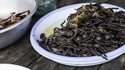 TasteAtlas listeyi paylaştı! İşte Türk mutfağının en popüler mezeleri