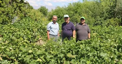 Erzincan’da emekli öğretmenler tarıma renk katıyor #erzincan