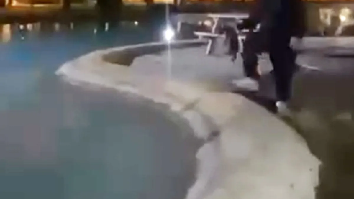 Antalya'da dehşete düşüren görüntüler: Sokak kedisini defalarca havuza attılar! Antalya'da dehşete düşüren görüntüler: Sokak kedisini defalarca havuza attılar!