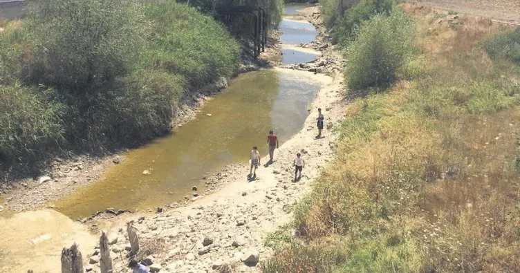 Sakarya Nehri kurudu çiftçiler zor durumda - Ankara ...
