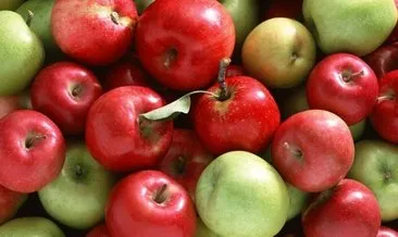 Elma Faydaları – Elmanın Faydaları Nelerdir, Ne İşe Yarar ve Hangi Hastalıklara İyi Gelir?