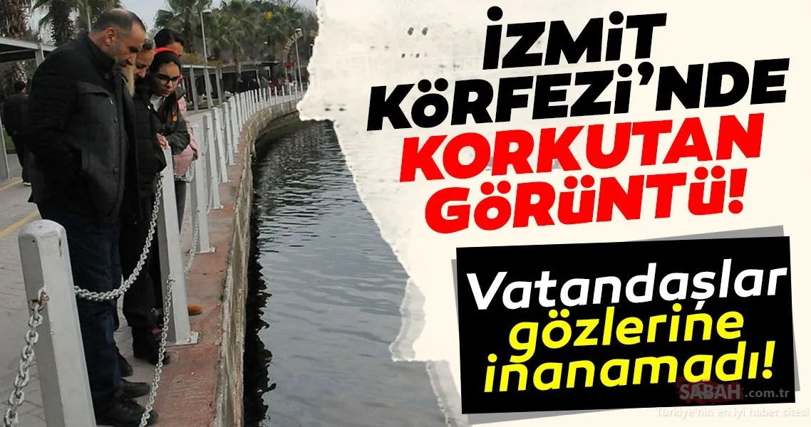 son dakika haberi izmit korfezi nde
