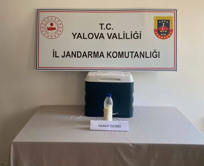 5-milyon-dolarlik-akrep-zehri-yalovada-yakalandi-1784097116260.jpg