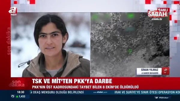 Son Dakika: TSK ve MİT'ten PKK'ya darbe: Sözde kadın sorumlusu SİHA’nın nokta atışıyla öldürüldü | Video