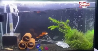 Japonya’da 6.1 büyüklüğünde deprem | Video