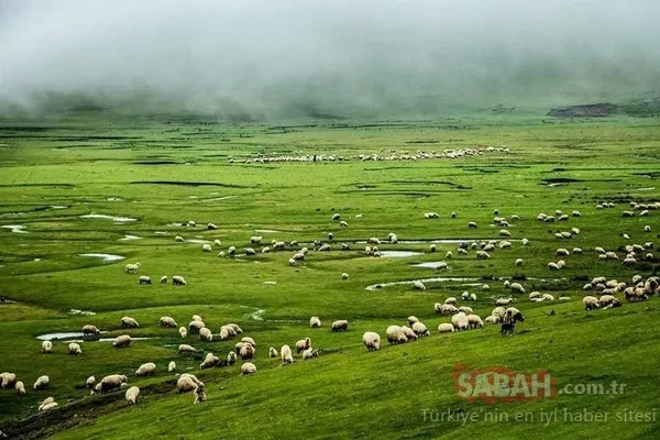 Karadeniz’in en güzel 10 doğa harikası...