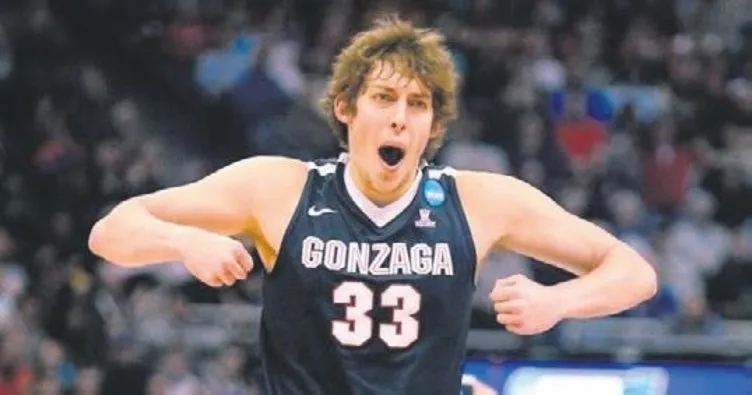 Wiltjer, Türk Telekom’da