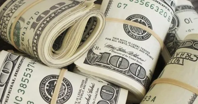 Para Birimi Dolar Olan Ülkeler - Dünyada Dolar Kullanan Kaç Ülke Var? -