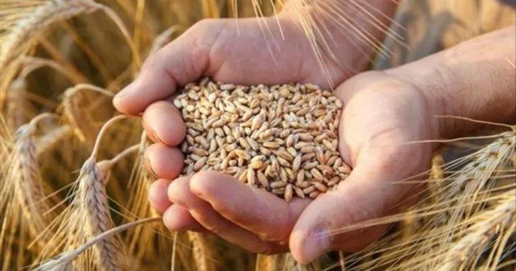Buğday krizi çözüldü fiyatlar rayına oturdu
