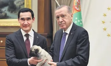 Türkmenistan’a TDY’ye üyelik daveti