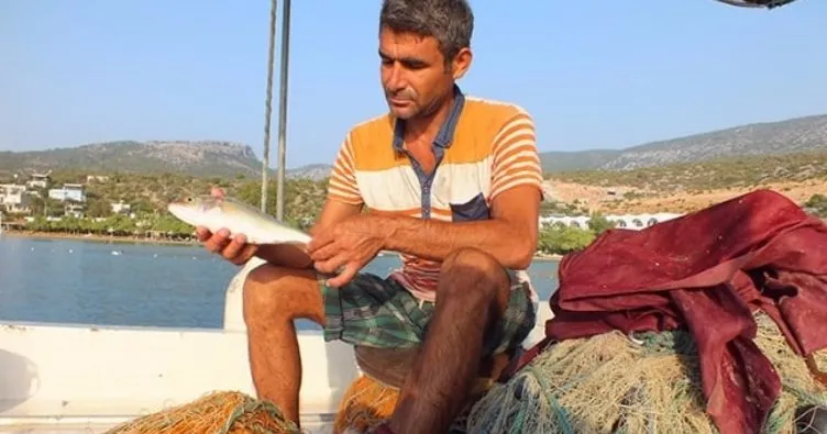 Mersin’de bin metrelik ağ seren balıkçı sadece 1 balık yakaladı