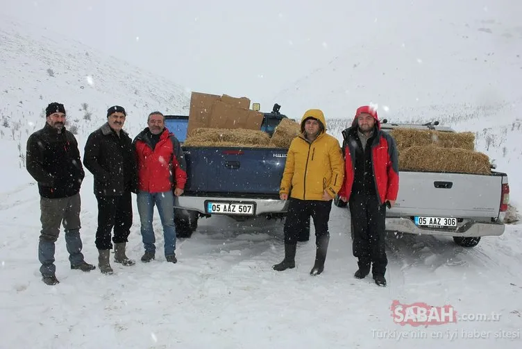 Amasya’da zorlu kış şartlarında yılkı atları için doğaya yem bırakıldı