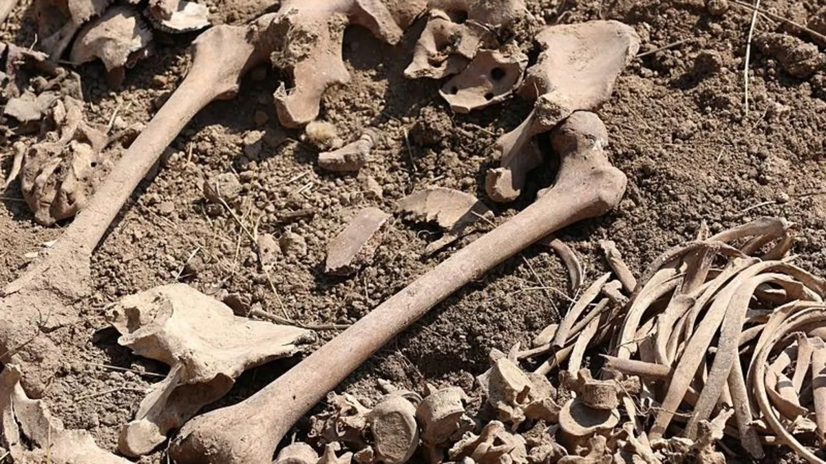 Azerbaycan'da yeni toplu mezarlar bulundu