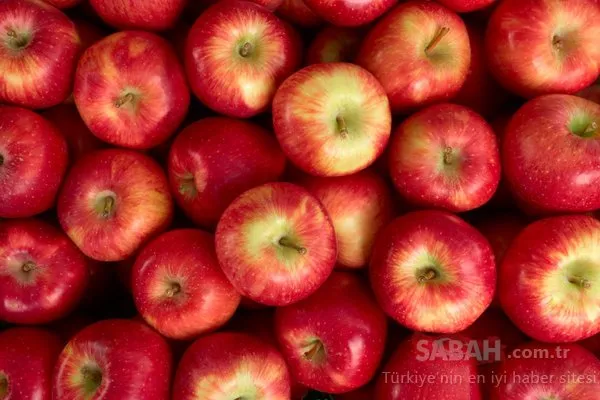 Bilimsel olarak kanıtlandı! Zayıflatan tek besin olduğu ortaya çıktı