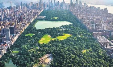 Rüya gibi şehir New York