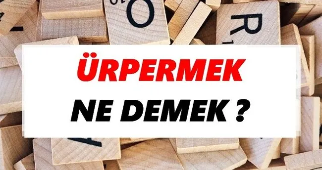 Ürpermek Ne Demek? TDK’ya Göre Ürpermek Sözlük Anlamı Nedir?