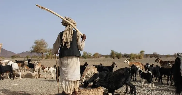 Nijerya’da çoban ve çiftçiler birbirine girdi
