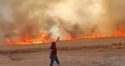 Harran’da buğday tarlasında yangın: 40 dönüm küle döndü #sanliurfa
