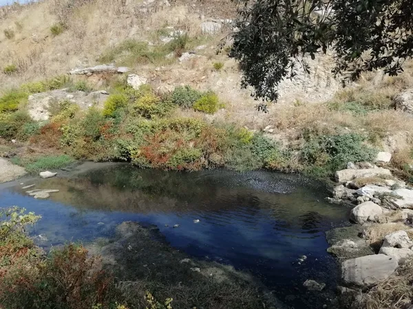 izsu-bakiyor-korfeze-zehir-akiyor-1728482329771.jpg