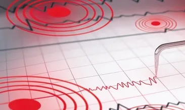 Ada’daki deprem paniğe neden oldu